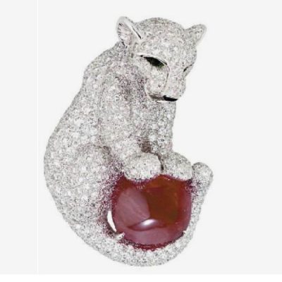 KDY-N7346386幼年卷尾豹子