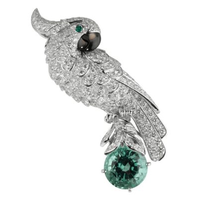 KDY-HP500364鹦鹉胸针