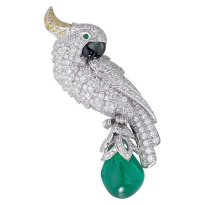 KDY-HP500307鹦鹉胸针