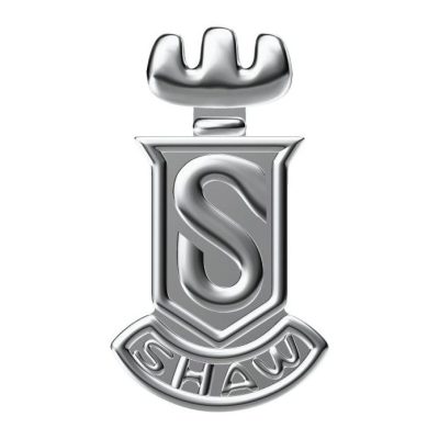 KLX-SP99285207光金字母S小胸针